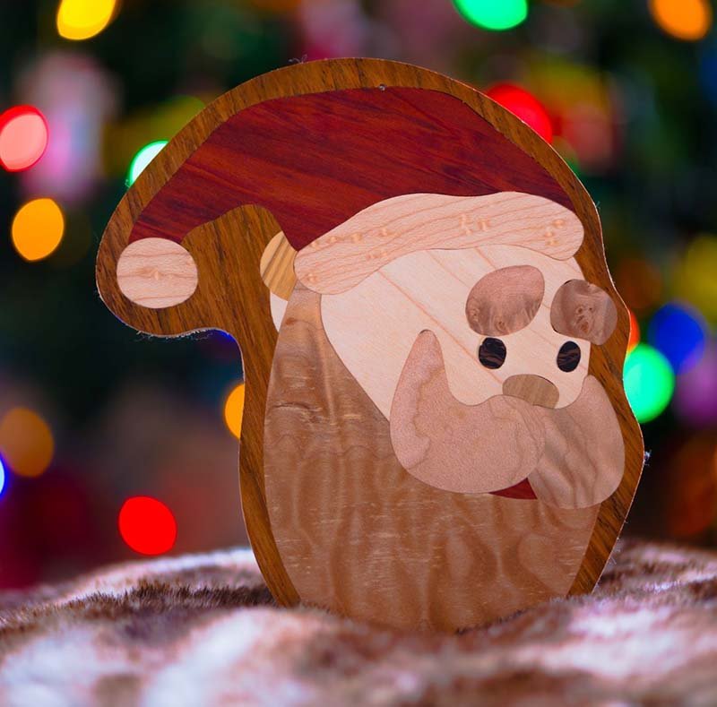 Santa Claus Beauty Shot