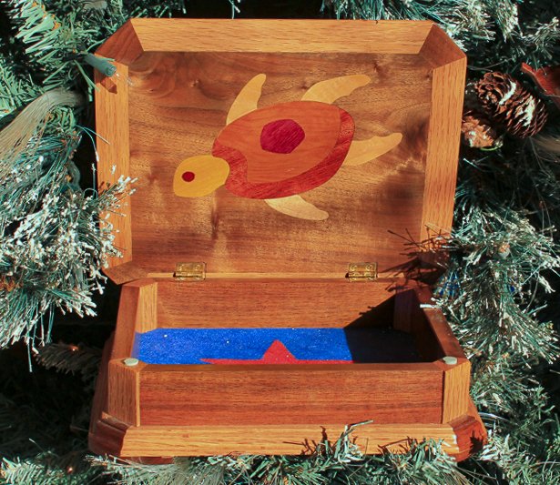 Image of TurtleSoup cut out as an Ornament
