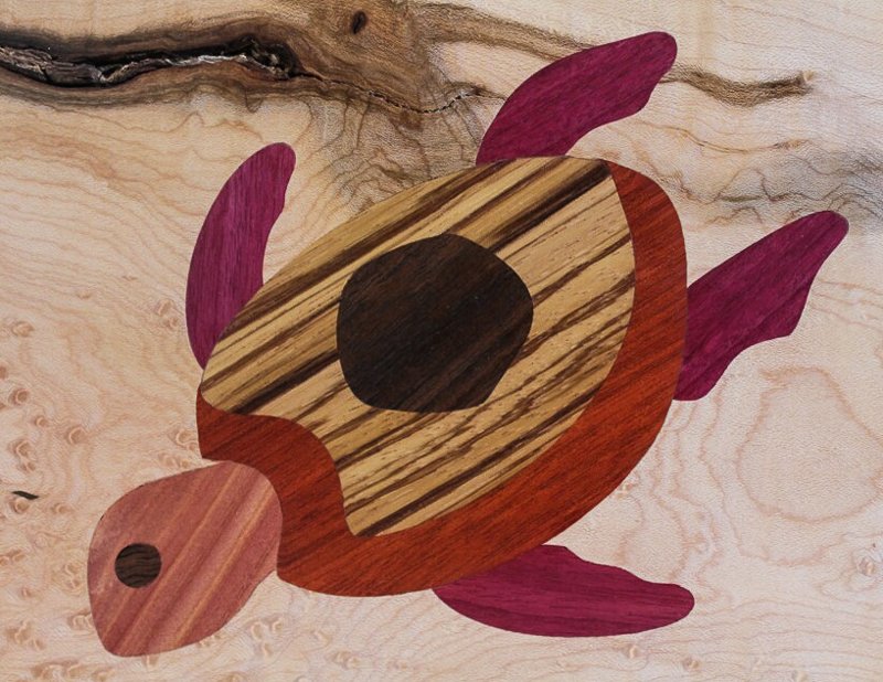 Image of the Turtle Soup Rev 1